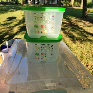 Tupperware FridgeSmart Fruit Vegetable Storage Crisp-it Container 4.4L